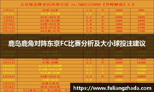 鹿岛鹿角对阵东京FC比赛分析及大小球投注建议