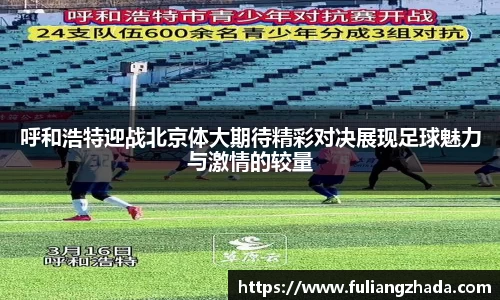 zoty中欧官网