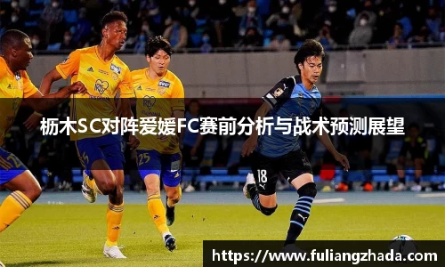 zoty中欧官网