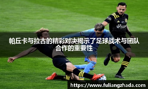 zoty中欧官网